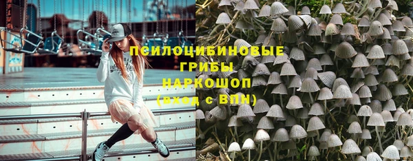 ПСИЛОЦИБИНОВЫЕ ГРИБЫ Абинск