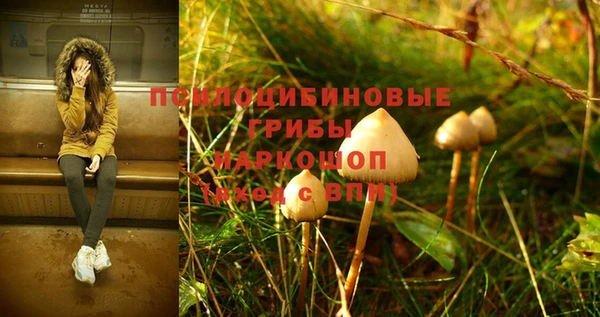 ПСИЛОЦИБИНОВЫЕ ГРИБЫ Абинск