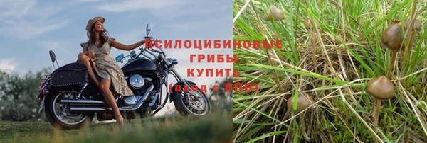 не бодяженный Абаза