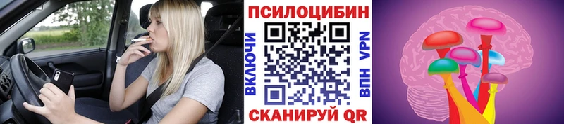 блэк спрут ССЫЛКА  Белоусово  Галлюциногенные грибы мицелий 